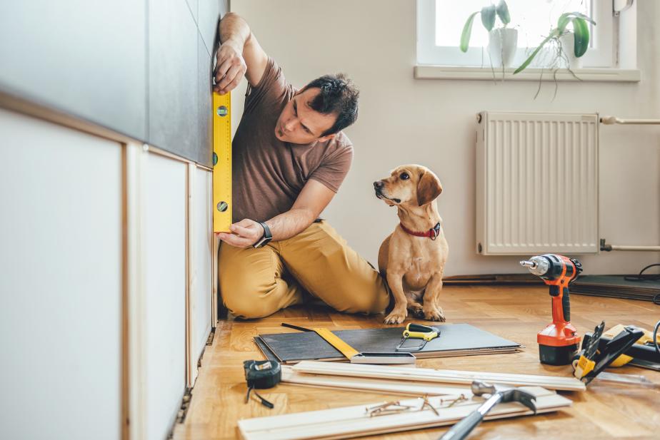 Person planning home improvement financial goals with tools and dog during DIY project